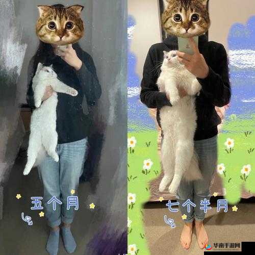 朝阳群众 VS 51 吃瓜群众：别样风采对比