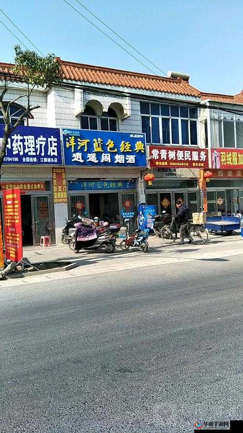 逍遥阁显示未满十八岁：相关问题探讨