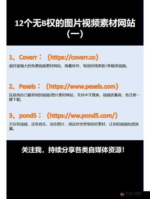 b 站网站大全下载：海量资源轻松获取