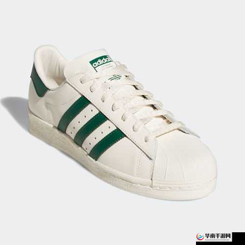 三叶草 gw2419：探索未知的冒险之旅