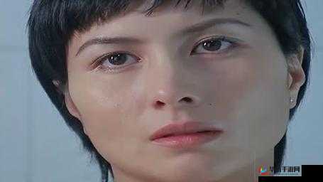 最好免费观看高清在线-不容错过的精彩影视