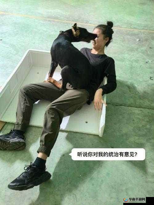 玩人狗大战的实现方法：实战技巧全解析