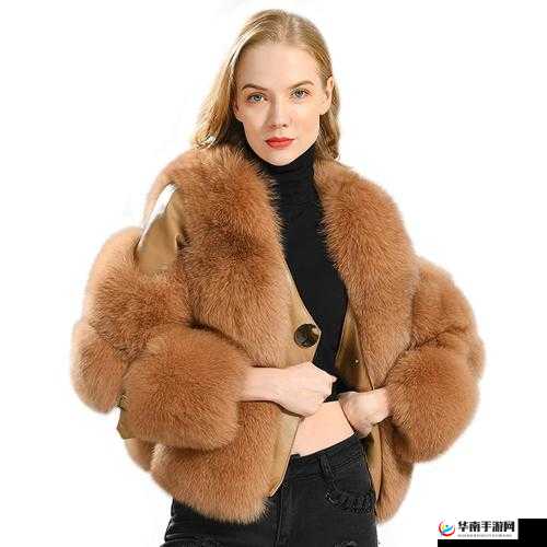 AAAA 级的毛皮最简单三个颜色：独特魅力之选