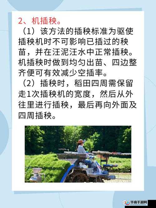 夫妻插秧 38 种方法图片大全：详细解读与展示