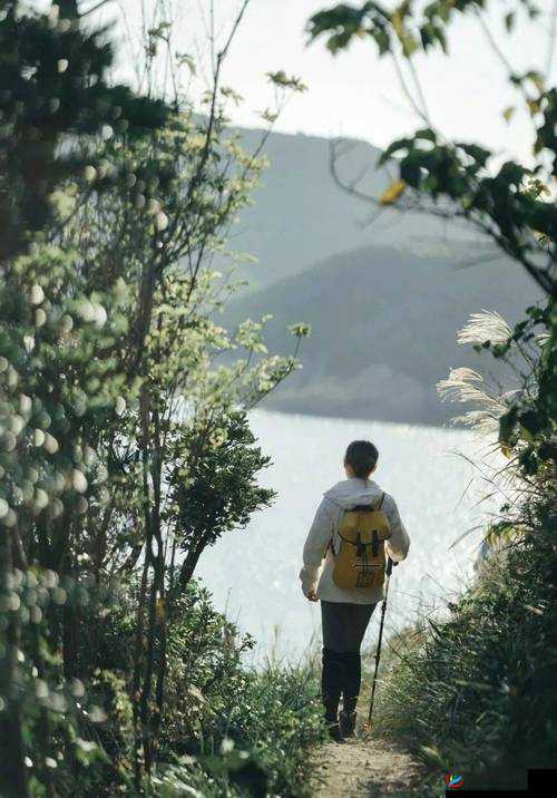 仙林踪 cosmetology 大陆：探寻神秘仙境