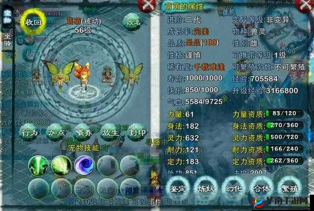 忘仙技能加点讲究与宠物推荐全攻略指南