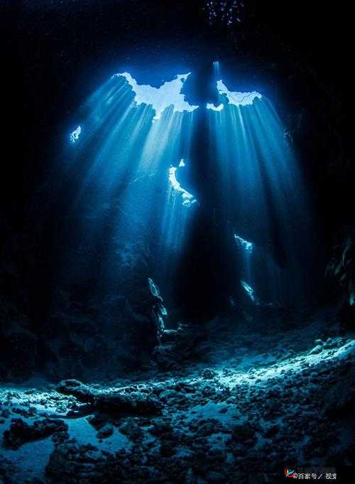 神秘通道 vip5：通往未知世界的冒险之旅