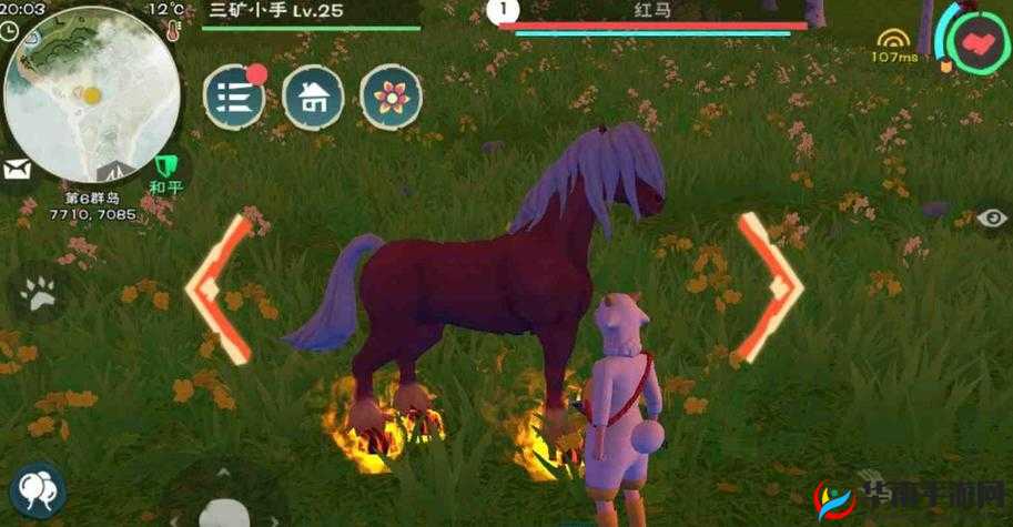 创造与魔法红马饲料：创造你的专属神奇坐骑