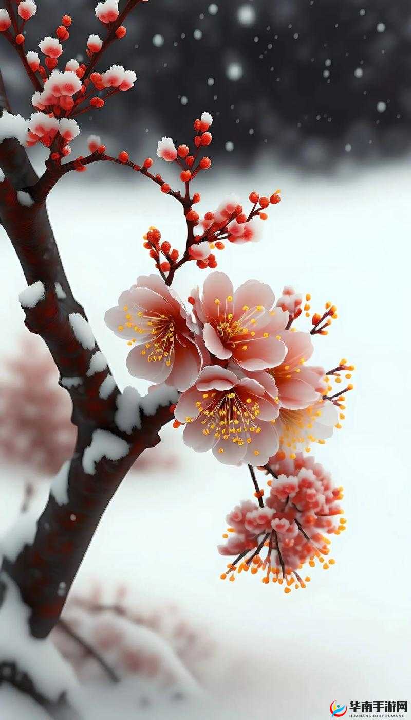 夹缝生存：逆境中的不屈灵魂