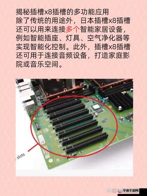 日本插槽X8是正规还是仿：深入探究