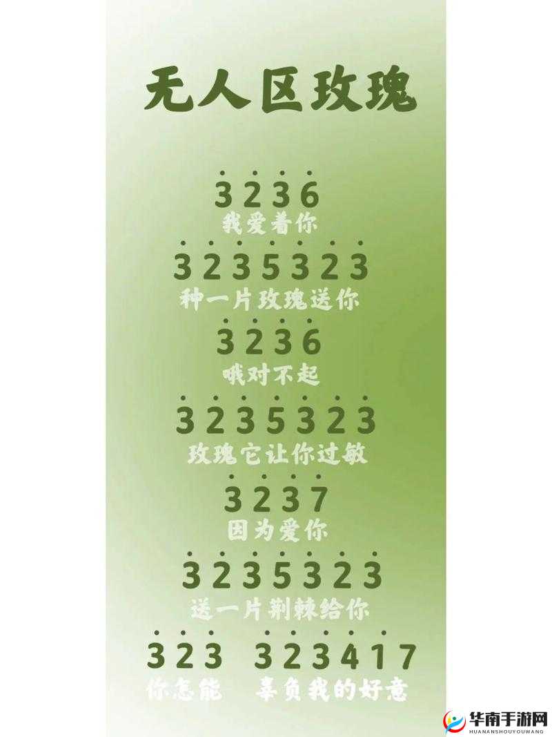 无人区玫瑰的 MV 完整版：深度解析