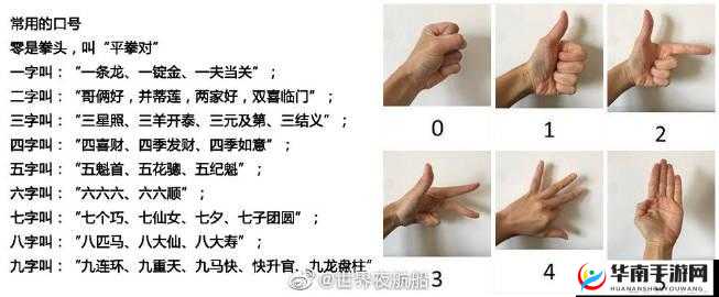 天天猜拳的乐趣与挑战：场手势间的智慧对决简介