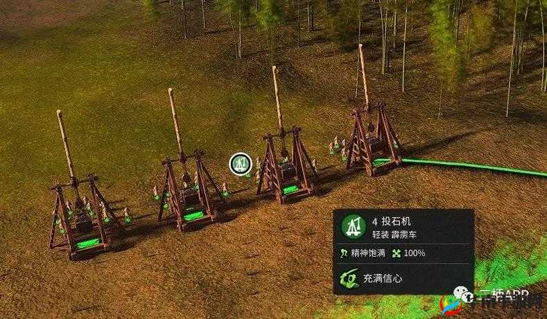 无限法则：深度解析空投策略的全面指南