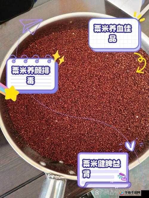 翻滚吧粟米粟米：安装教程与配置指南详解