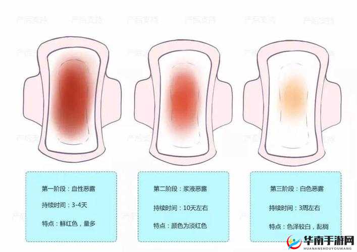 大话许仙中六道百科全揭秘，你想知道的这里都有