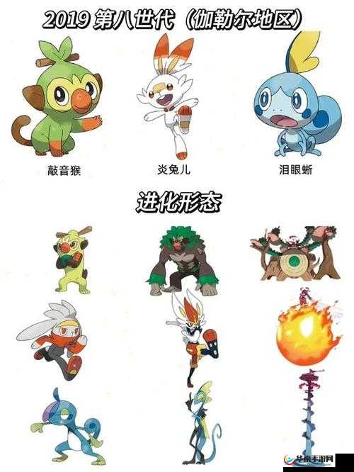 口袋妖怪万兽之王：魔兽详解