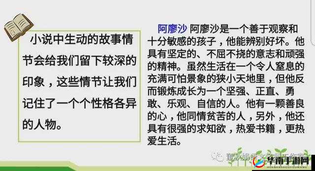 我的生：场精彩纷呈的冒险之旅，乐趣无穷的辉煌简介