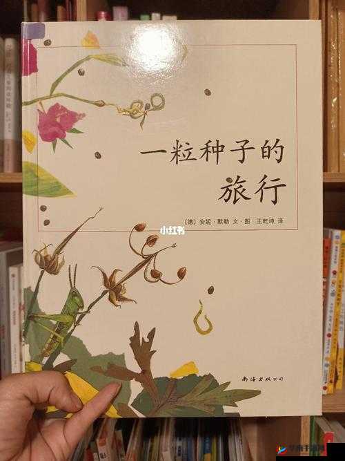 丰裕纵满 2：探索未知的奇妙之旅