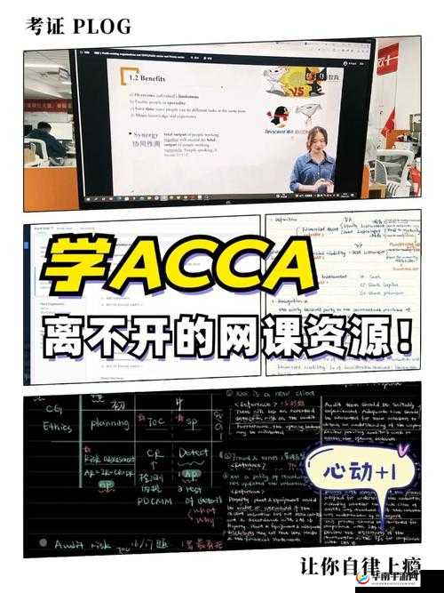 acca 少女网课视频精彩讲解