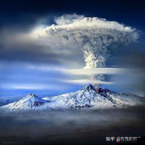 场神秘迷藏，惊艳瞬间网打尽