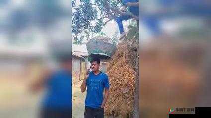 娱乐极品视觉盛宴在线观看：等你来体验