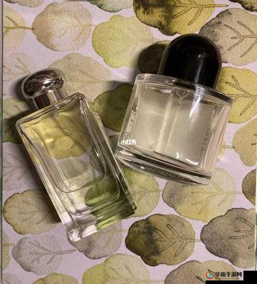 无人区玫瑰与柏林少女的奇妙邂逅