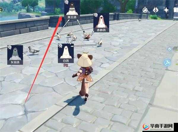 原神方方之网黑王鸽捕捉攻略：揭秘最佳捕捉位置分享
