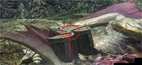 《怪物猎人崛起》爵银龙大小金辨别攻略：掌握爵银龙大小金的识别方法与技巧