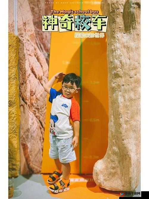 摇床伴随急促喘气声：探索未知的奇妙体验