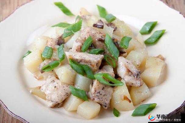 爆炒多汁小美人的一百种方法之烹饪秘籍