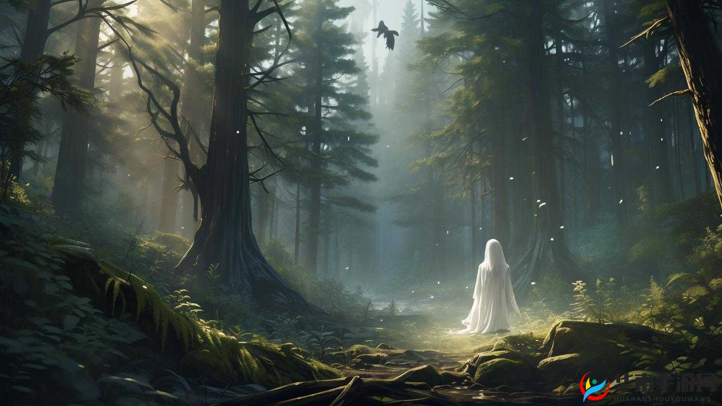 秘密入口 3 秒自动转接连接：带你探索未知世界