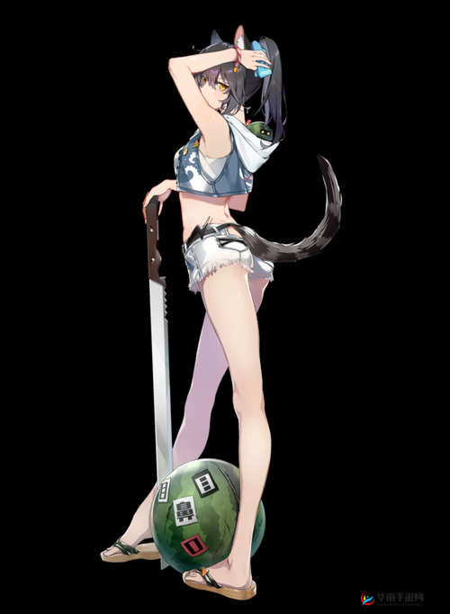 《猫之城》雷鬼节奏：独特节奏魅力，深入了解其魅力