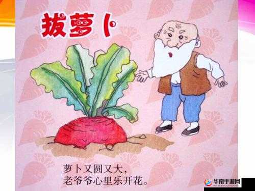 拔萝卜又叫降黄9.1：趣味故事背后的秘密