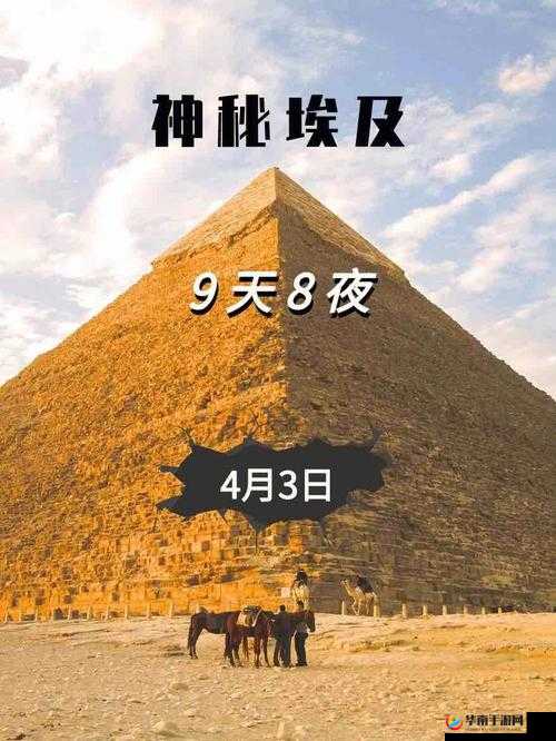 蛇王的尾巴高 ah 方书：探索未知的神秘之旅