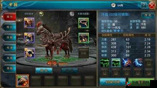 御龙在天手游：坐骑搭档如何巧妙选择全攻略