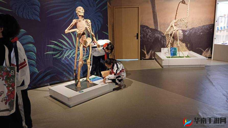 融为一体到底有多舒服：探究其奥秘