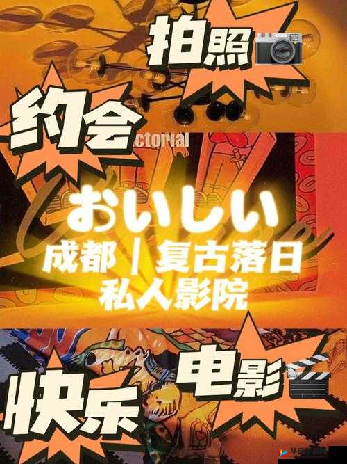 成都私人小影院品牌加盟海贼王：开启梦幻之旅