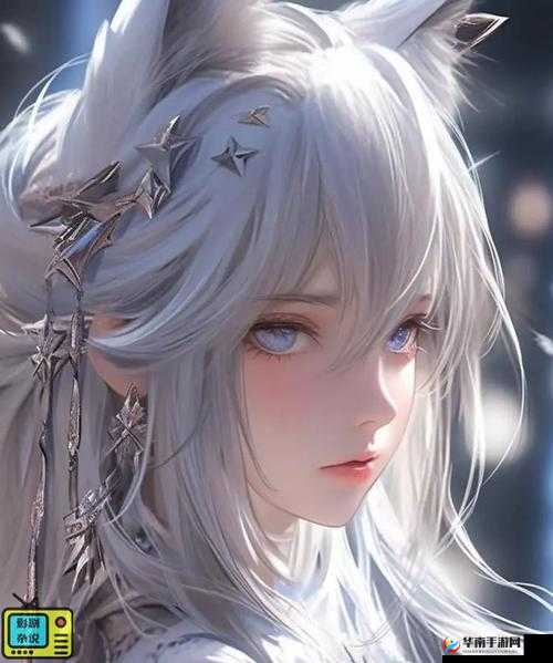 暗卫营大型 HPN：震撼登场