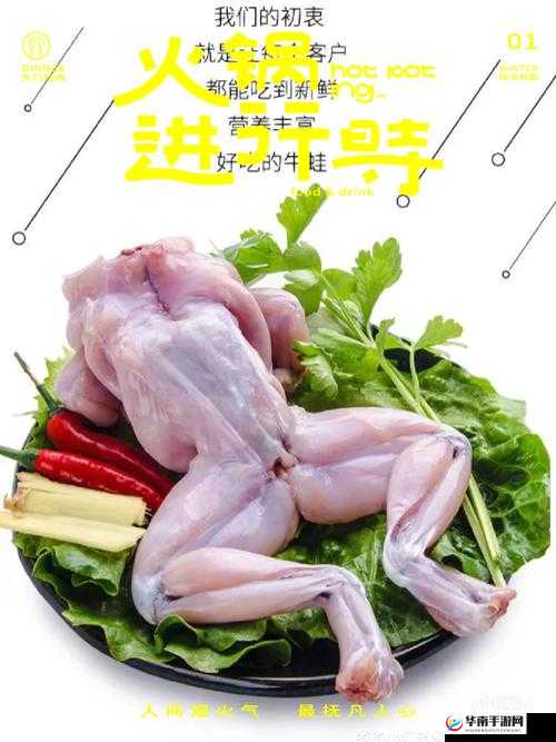 军旅肉质 1v2：高蛋白、低脂肪、营养丰富