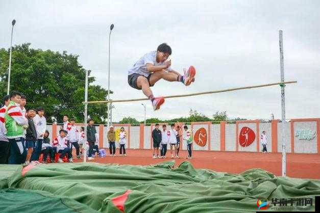 随时随地都可以干的校运会：活力无限的校园体育盛宴