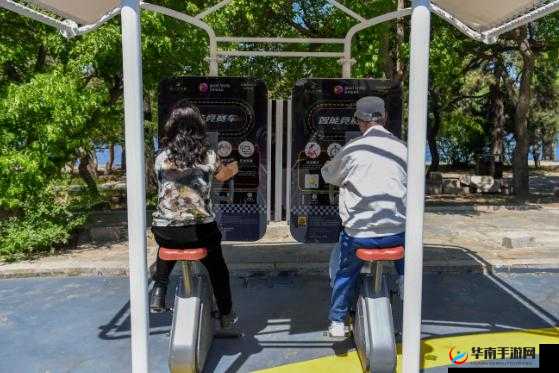 出租房里的交互高康张：他们的故事