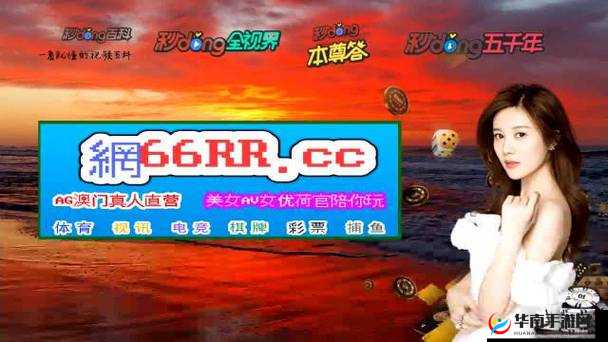 黄金网站 APP 在线观看无需下载