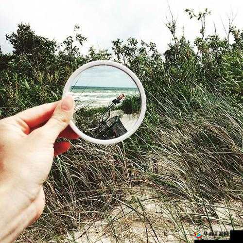 镜子中我们的结合处发出：奇妙的现象