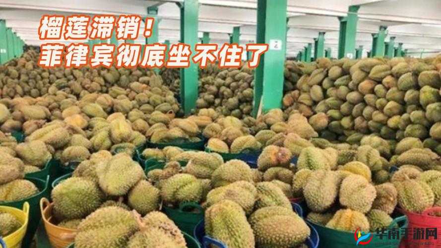 x7x7 暴力噪与暴力噪区别详解