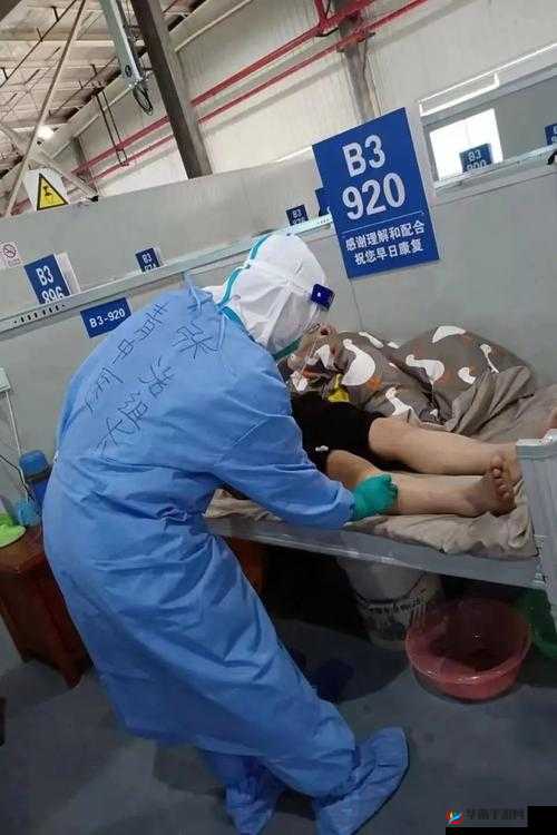 全民打 BOSS 之英勇战狼 尽显英雄本色 震撼你的游戏世界