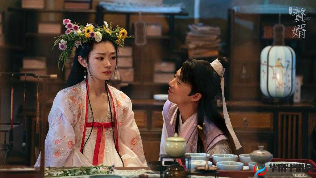 星空无限传媒在线观看电视剧赘婿：精彩剧情不容错过