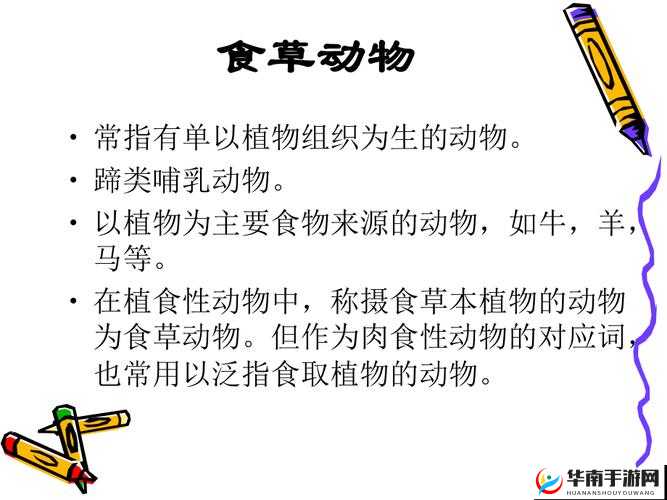 肉食动物取食报告动漫：精彩食性揭秘