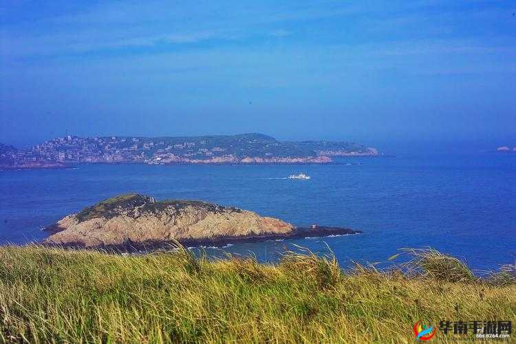 涓涓嶅皬蹇冩垚浜嗗ゅ弸浠鐨勫洟瀹：探寻背后的故事