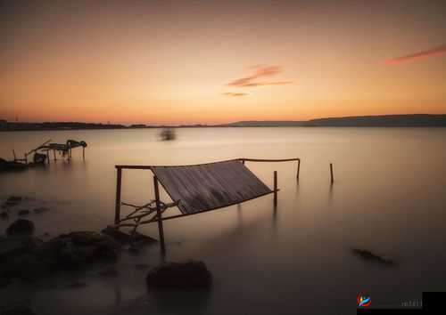 鍥藉唴鎴愬搧缃戠珯 W 鐏婧愮爜：独特的魅力展现