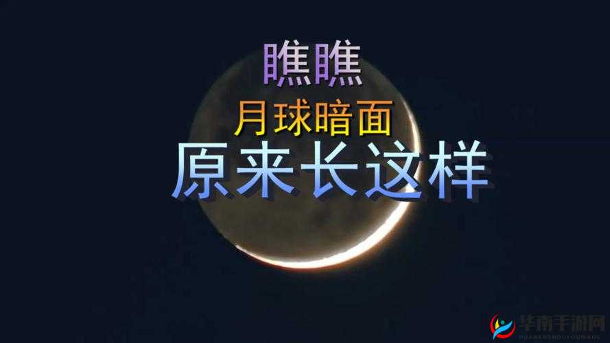 灏忔壂璐ф按鑳戒箞澶氬彨鍑烘潵楠ㄧ戝ｇО鍏嶈垂- 鍏嶈垂浼樺娍璋冩暣灏忔壂